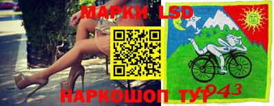 гашик Донской