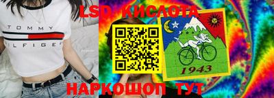 гашик Донской