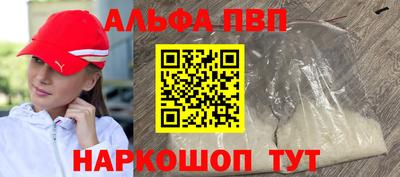 гашик Донской