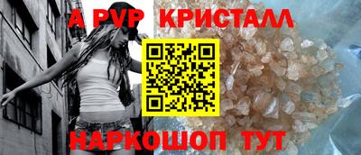 гашик Донской
