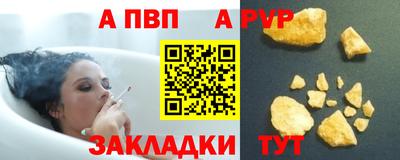 гашик Донской