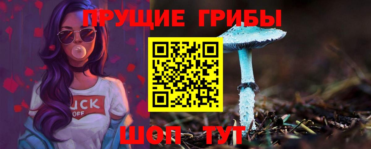 Галлюциногенные грибы прущие грибы  Вход с VPN  Магадан  Галлюциногенные грибы Magic Shrooms 